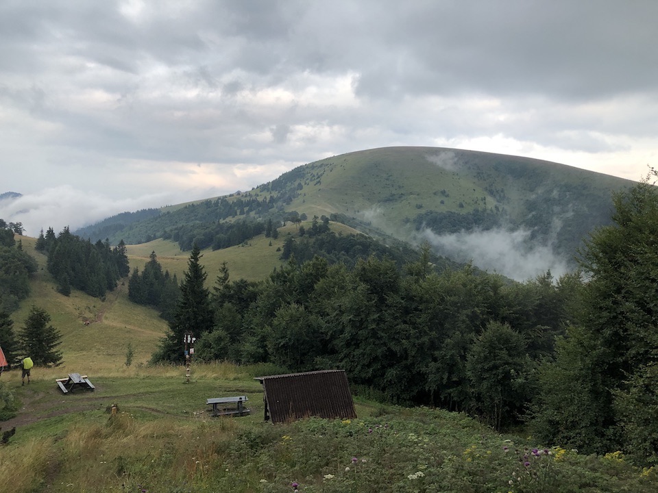 Ploská